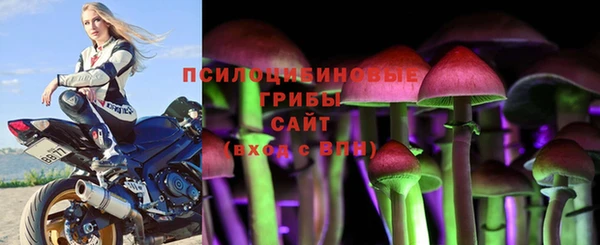 шишки Волоколамск