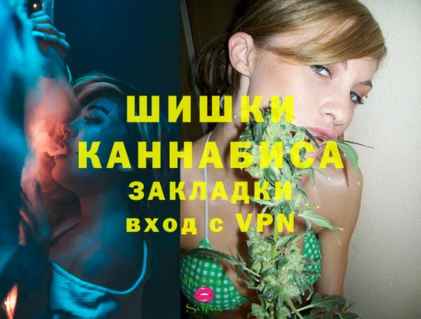 прущий лед Вяземский