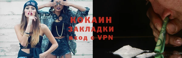 шишки Волоколамск
