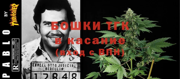 шишки Волоколамск